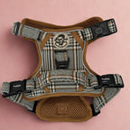 Rugged Rover™ Harness - Foxbury Plaid