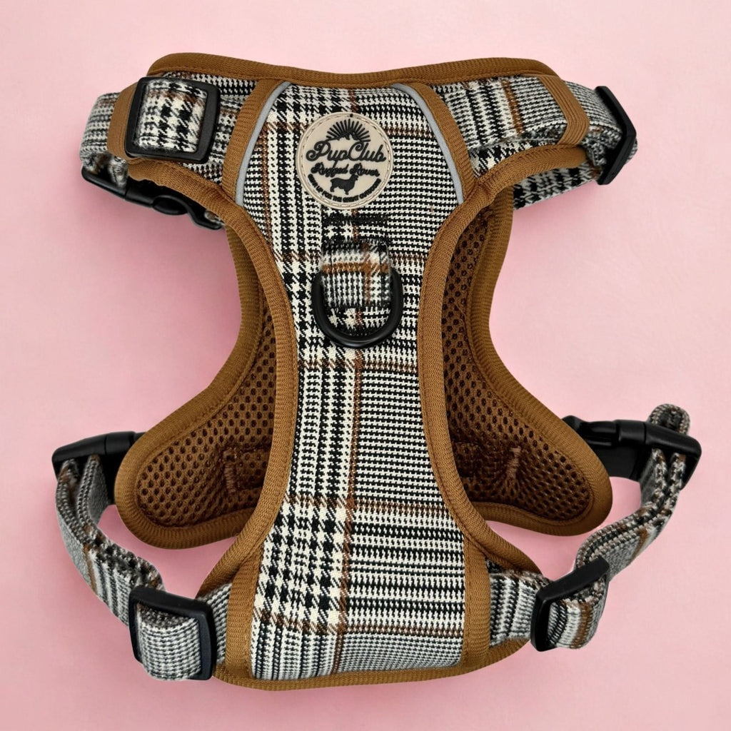 Rugged Rover™ Harness - Foxbury Plaid