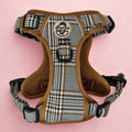 Rugged Rover™ Harness - Foxbury Plaid