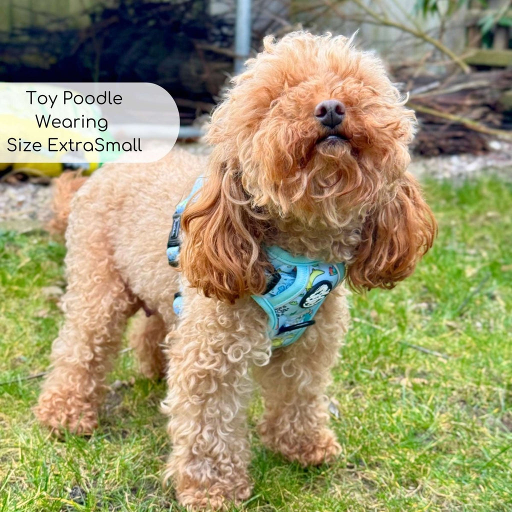 Rugged Rover™ Harness - Jurassic Party