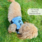 Rugged Rover™ Harness - Pastel Blue
