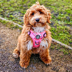 Rugged Rover™ Harness - Peachy Hearts