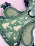 Rugged Rover™ Harness - Evergreen Trails