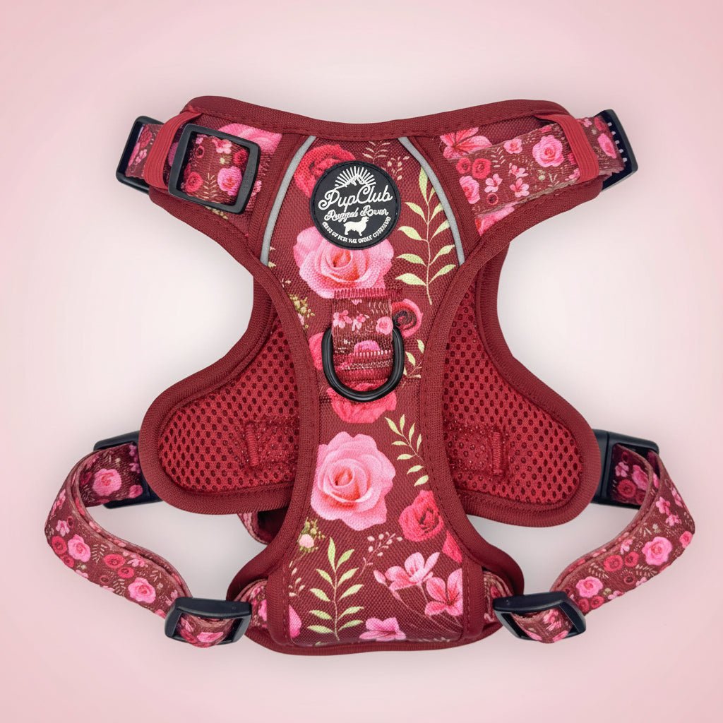 Rugged Rover™ Harness - Burgundy Bloom