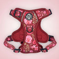 Rugged Rover™ Harness - Burgundy Bloom