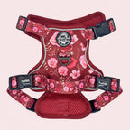 Rugged Rover™ Harness - Burgundy Bloom