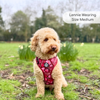 Rugged Rover™ Harness - Burgundy Bloom