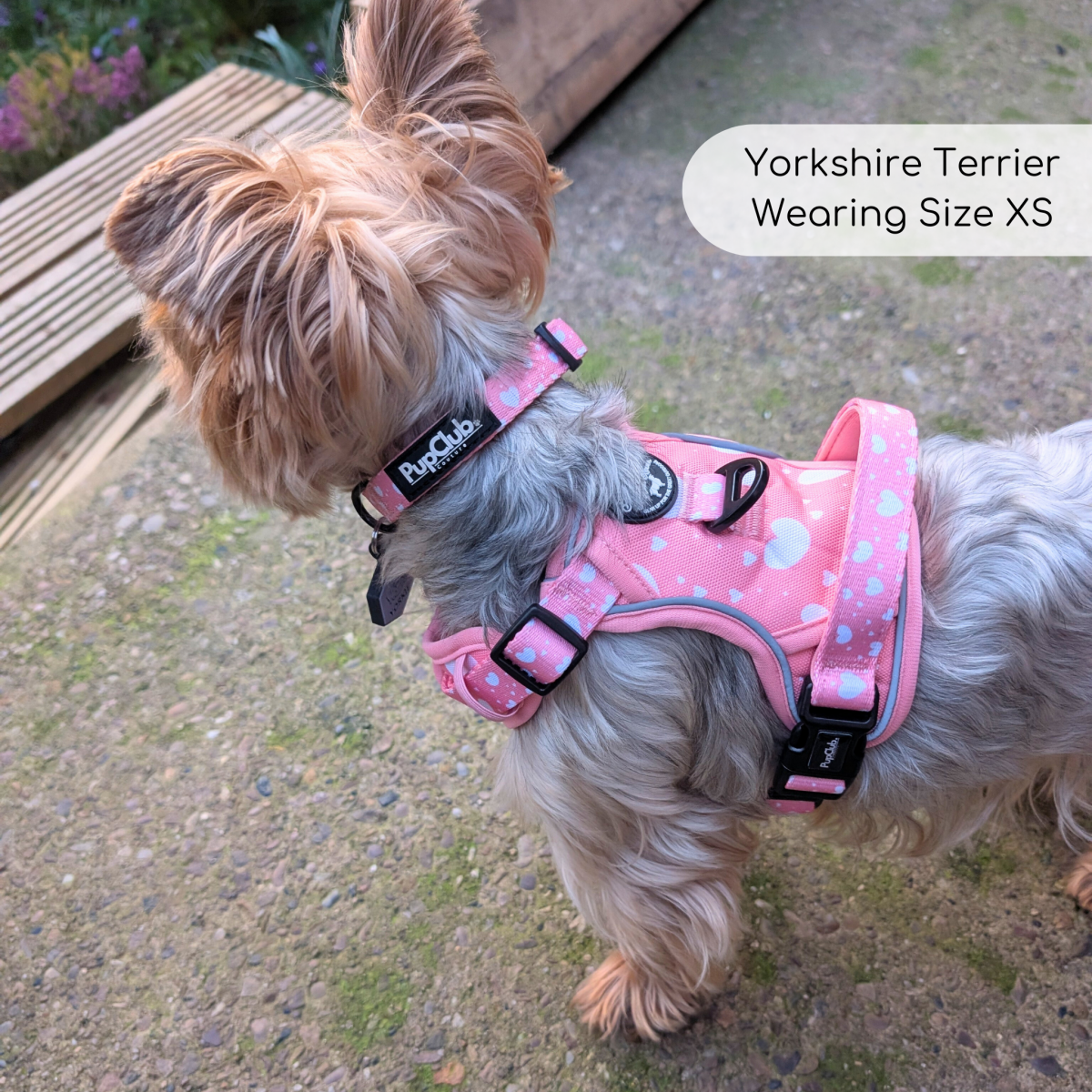 Rugged Rover™ Harness - Peachy Hearts