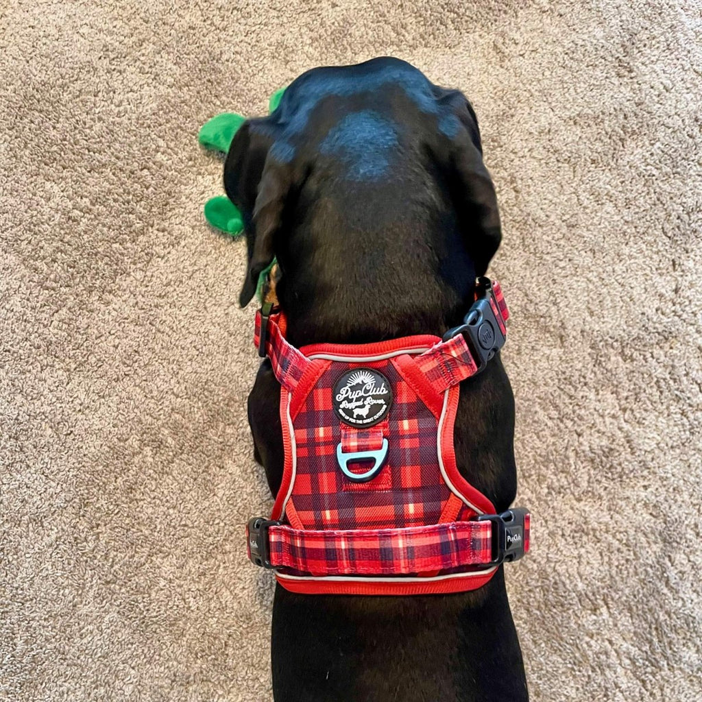 Rugged Rover™ Harness - Red Tartan