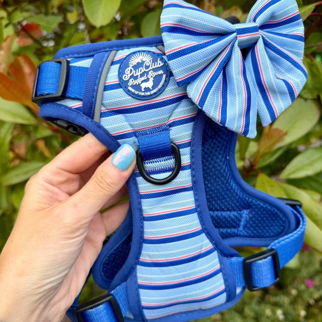 Rugged Rover™ Harness - Sea Breeze Stripes