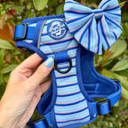 Rugged Rover™ Harness - Sea Breeze Stripes