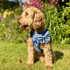 Rugged Rover™ Harness - Sea Breeze Stripes