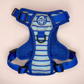 Rugged Rover™ Harness - Sea Breeze Stripes