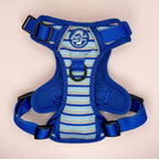 Rugged Rover™ Harness - Sea Breeze Stripes