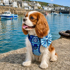 Rugged Rover™ Harness - Sea Breeze Stripes