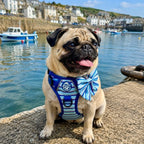 Rugged Rover™ Harness - Sea Breeze Stripes