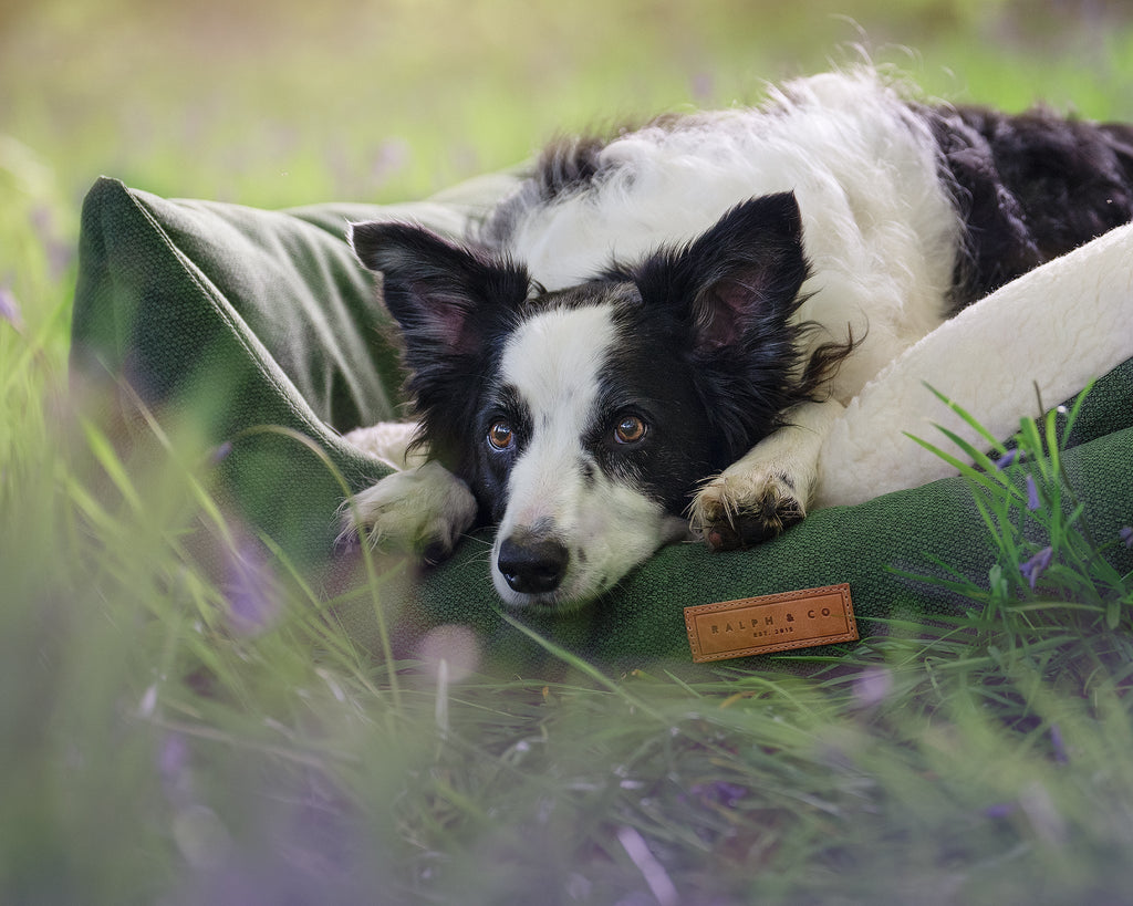 THE RICHMOND | LUXURY GREEN BED