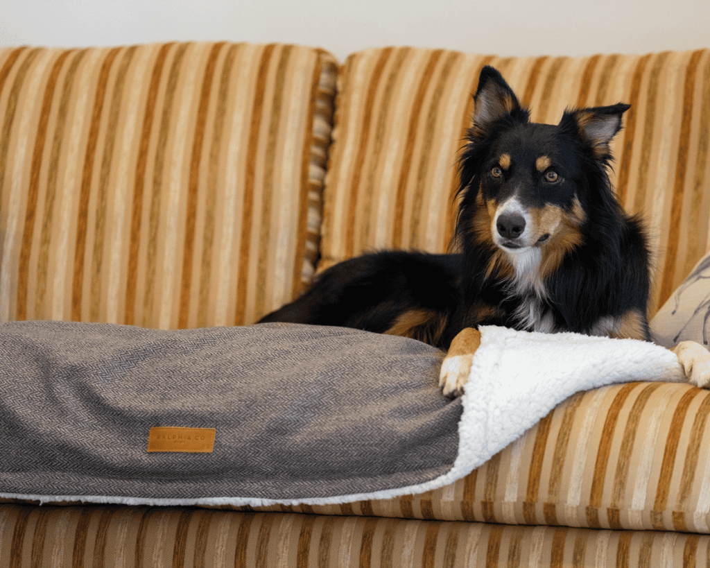 THE LINCOLN  | LUXURY PILLOW BED
