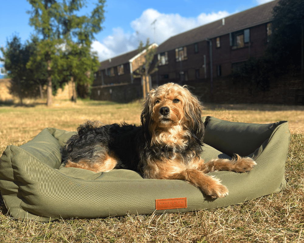 THE HENLEY | LUXURY WATERPROOF BED