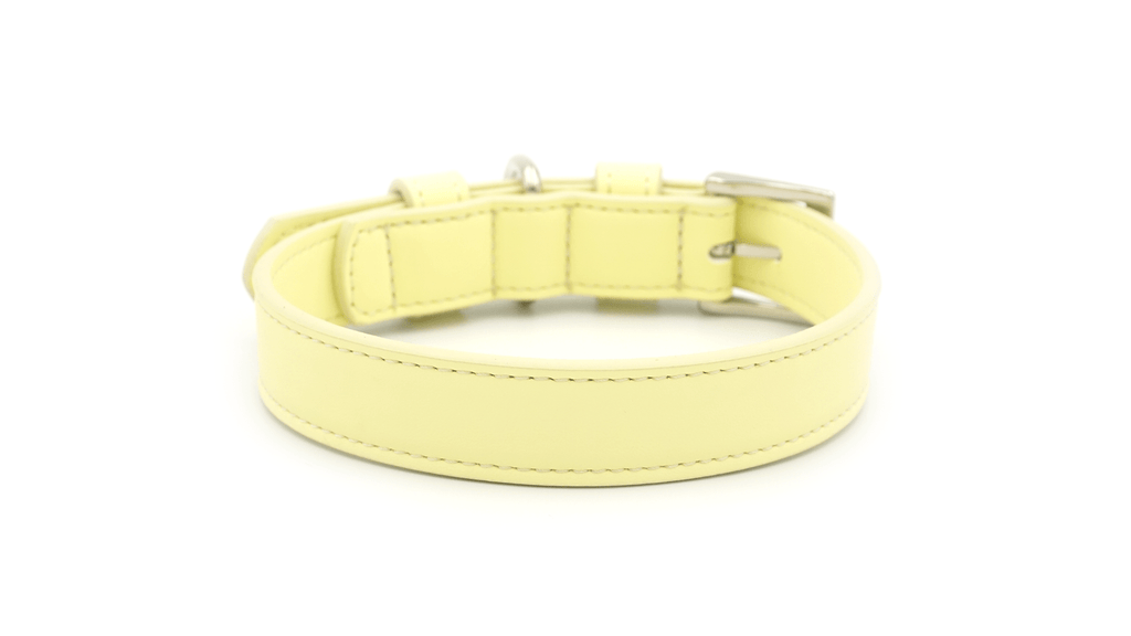 Yellow Leather Dog Collar